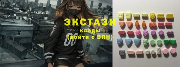 твердый Магас