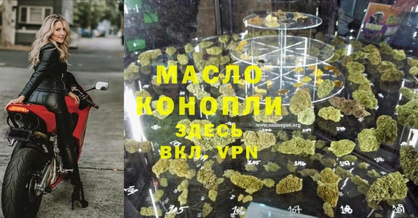 твердый Магас