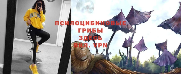 кокс Магадан