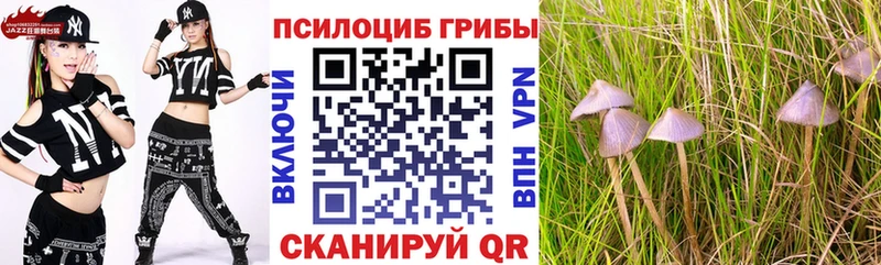 ссылка на мегу ONION Зима Псилоцибиновые грибы Cubensis где найти наркотики