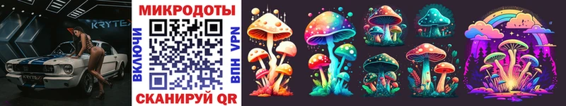 Псилоцибиновые грибы Cubensis Зима
