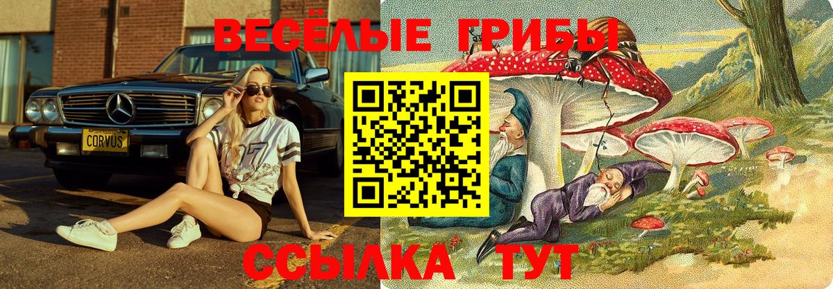 Псилоцибиновые грибы мицелий  Псилоцибиновые грибы Magic Shrooms  Вход с VPN  Зима 